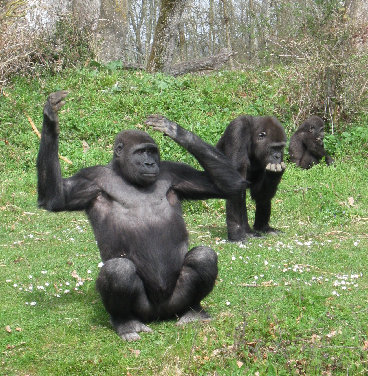 196