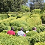 Jardins de Marqueyssac (24)