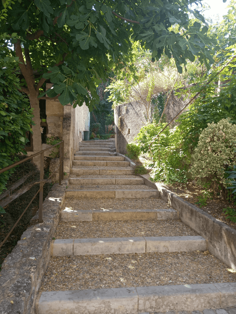 Escalier en pierre à Aubeterre